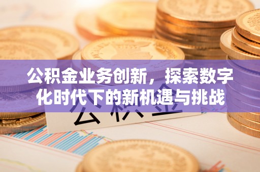云霄公积金业务创新，探索数字化时代下的新机遇与挑战