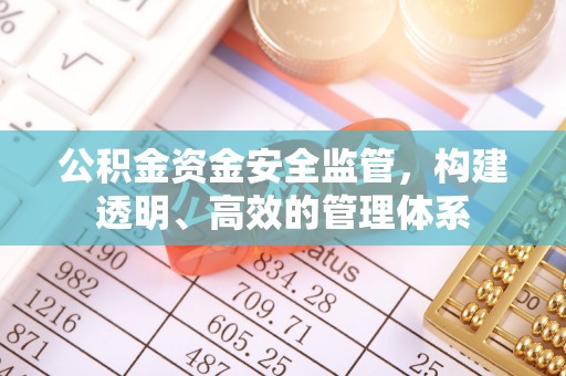 云霄公积金资金安全监管，构建透明、高效的管理体系