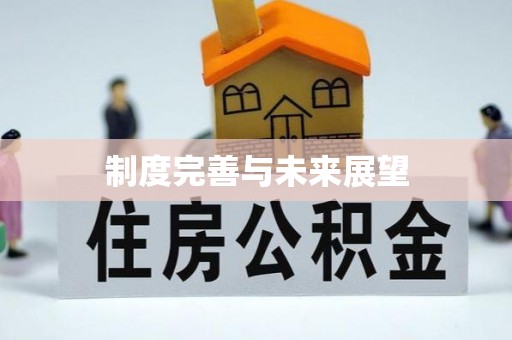 云霄制度完善与未来展望