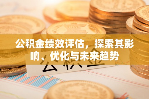 云霄公积金绩效评估，探索其影响、优化与未来趋势