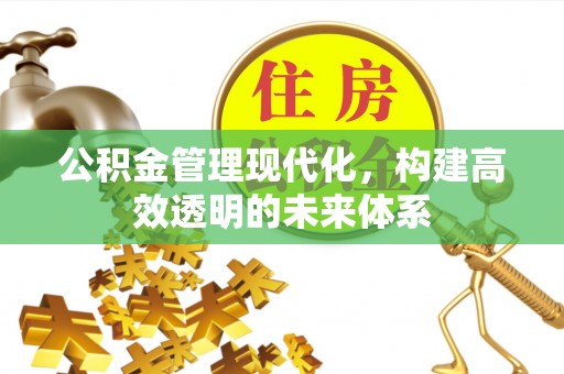 云霄公积金管理现代化，构建高效透明的未来体系