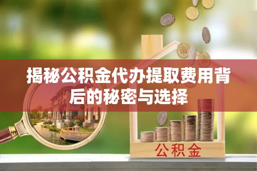云霄揭秘公积金代办提取费用背后的秘密与选择