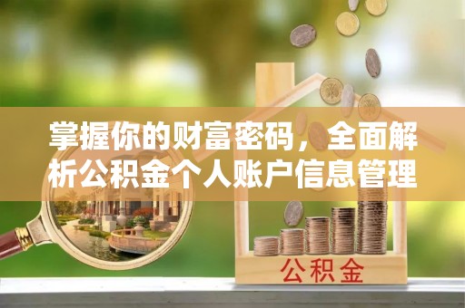 云霄掌握你的财富密码，全面解析公积金个人账户信息管理与优化