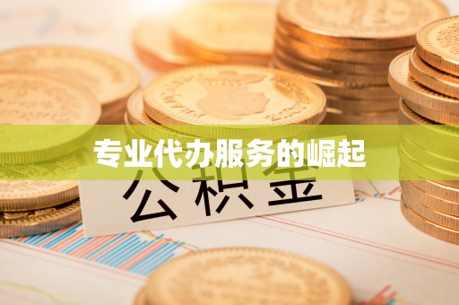 云霄专业代办服务的崛起