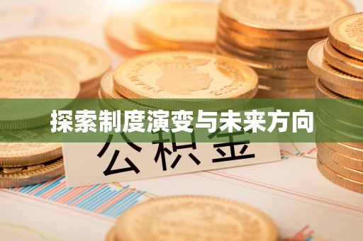 云霄探索制度演变与未来方向