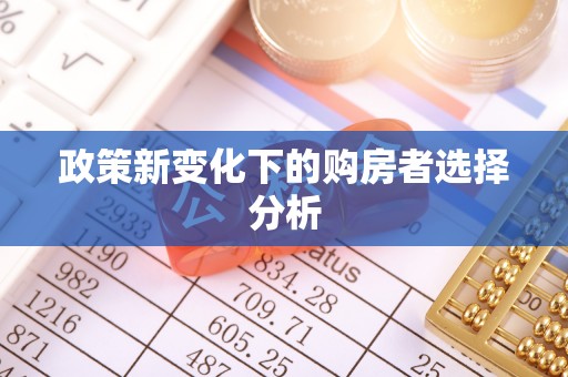 云霄政策新变化下的购房者选择分析