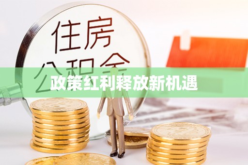 云霄政策红利释放新机遇