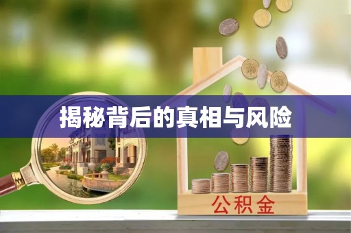 云霄揭秘背后的真相与风险