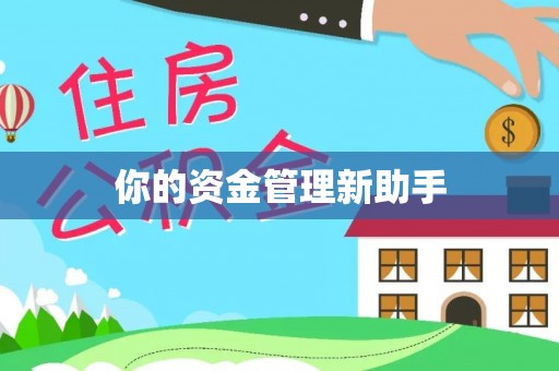 云霄你的资金管理新助手