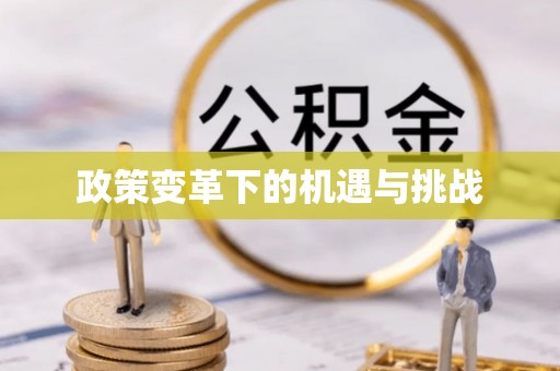 云霄政策变革下的机遇与挑战