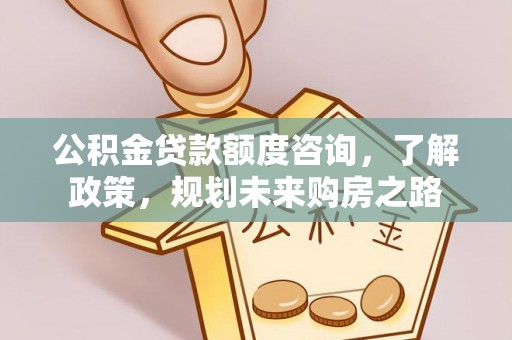 云霄公积金贷款额度咨询，了解政策，规划未来购房之路