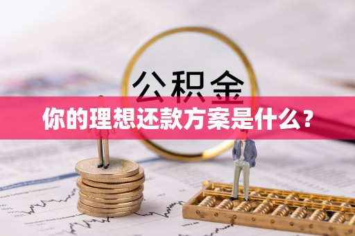 云霄你的理想还款方案是什么？
