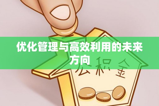 云霄优化管理与高效利用的未来方向