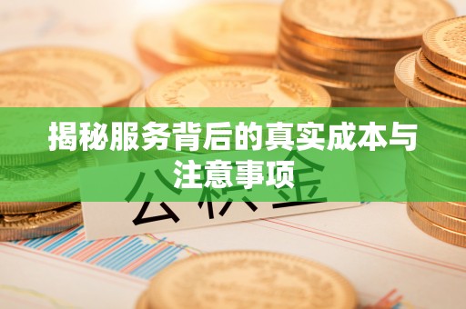 云霄揭秘服务背后的真实成本与注意事项