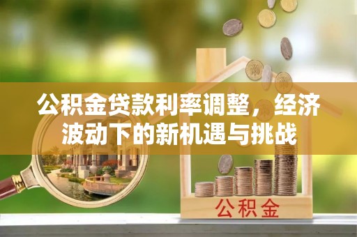 云霄公积金贷款利率调整，经济波动下的新机遇与挑战