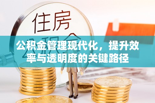 云霄公积金管理现代化，提升效率与透明度的关键路径