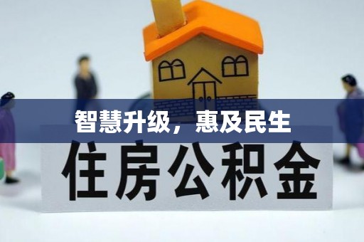 云霄智慧升级，惠及民生
