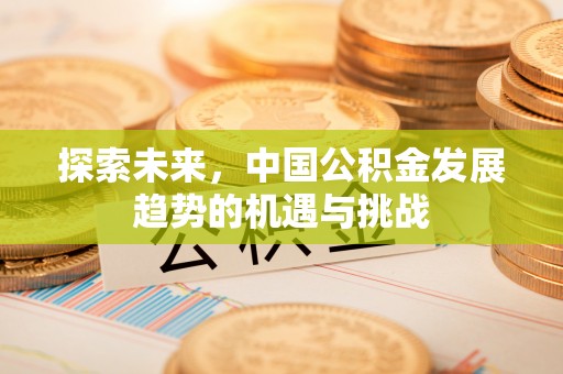 云霄探索未来，中国公积金发展趋势的机遇与挑战