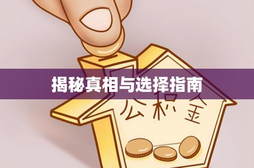 云霄揭秘真相与选择指南