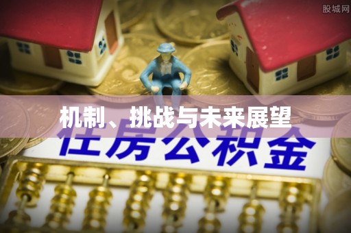 云霄机制、挑战与未来展望