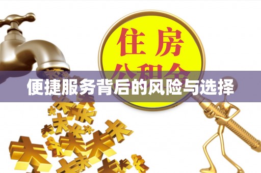 云霄便捷服务背后的风险与选择