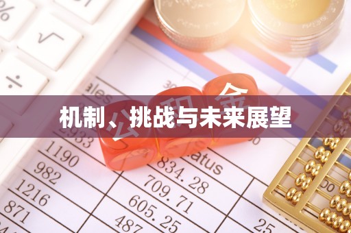 云霄机制、挑战与未来展望
